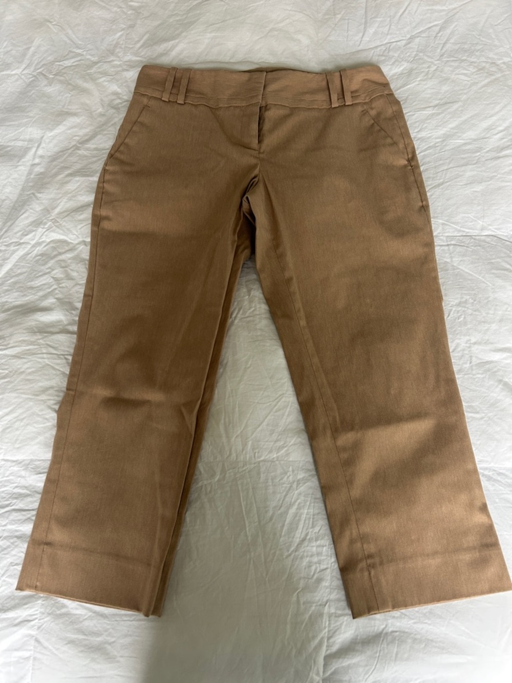 The Limited Exact Stretch Straight Leg Pants in Camel Brown